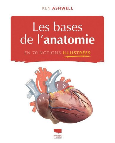 Les bases de l'anatomie en 70 notions illustrées Les bases de l'anatomie en 70 notions illustrées