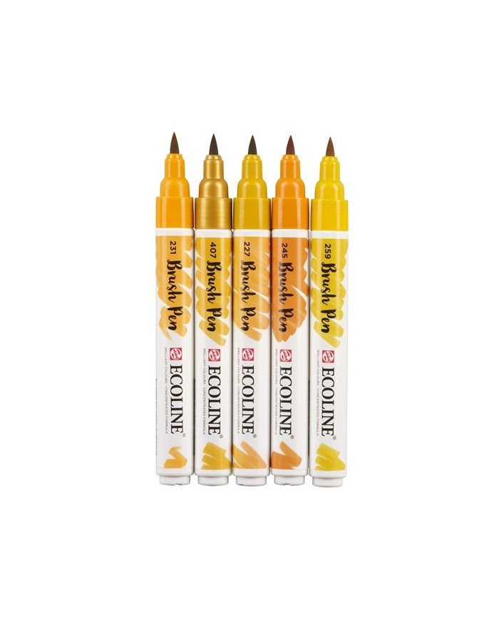Le Libr'air - Coffret Brush Pen Terre Ecoline - Talens - Tunisie