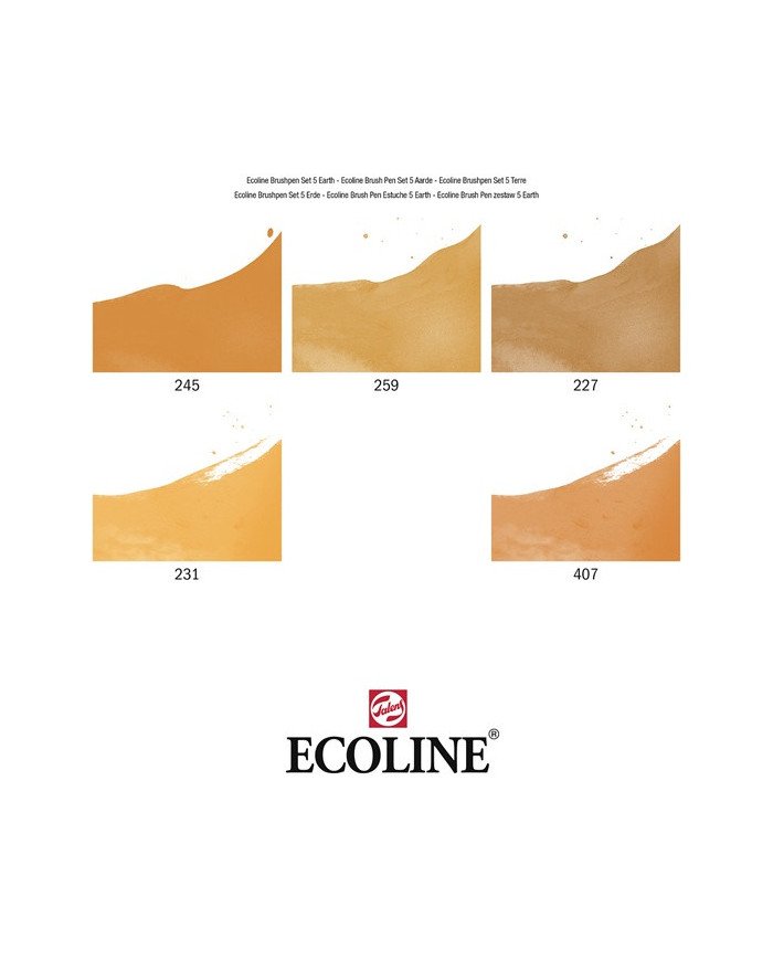 Le Libr'air - Coffret Brush Pen Terre Ecoline - Talens - Tunisie
