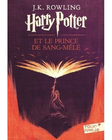Harry Potter et le prince de Sang-Mêlé (Tome 6)