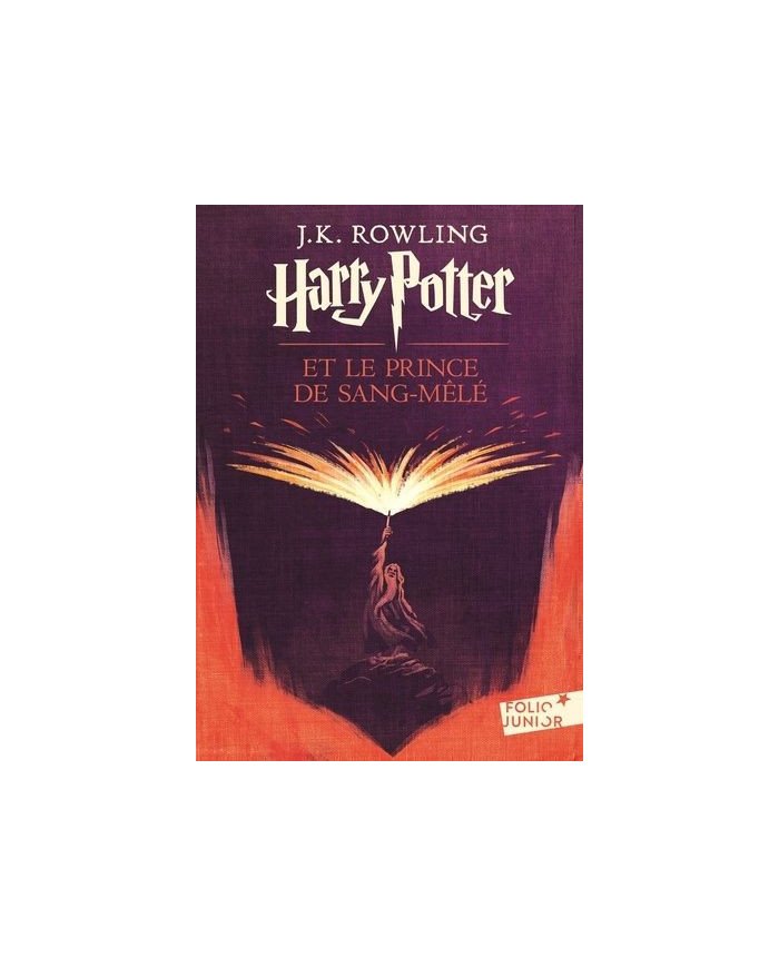 Harry Potter et le prince de Sang-Mêlé (Tome 6)