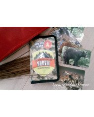 Les bons réflexes de survie en milieu hostile - agir vite & bien