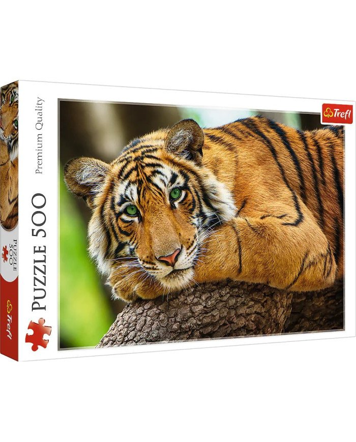 Puzzle 500PCS Tigre