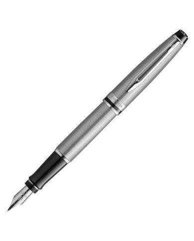 Stylo plume Waterman Expert CT en acier inoxydable