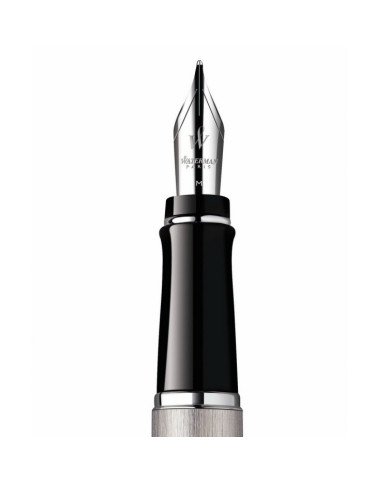 Stylo plume Waterman Expert CT en acier inoxydable
