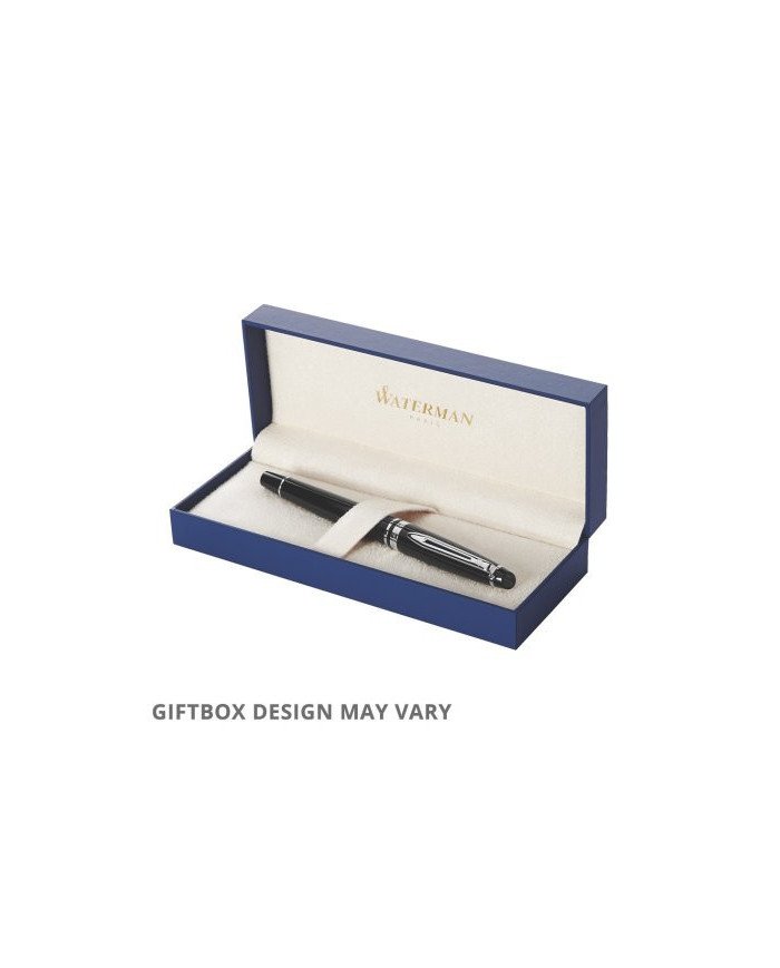 Stylo plume Waterman Expert CT en acier inoxydable Noir