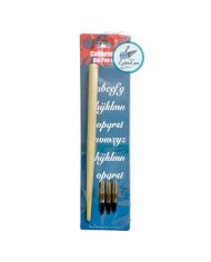 Set Calligraphie Porte Plume + 3 Plumes A Palette