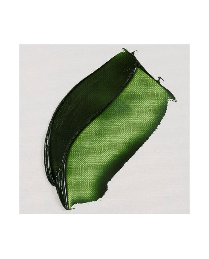 Le Libr'air - Peinture À l'huile Tube 20 ml Vert de Vessie 623 - Van Gogh - Tunisie