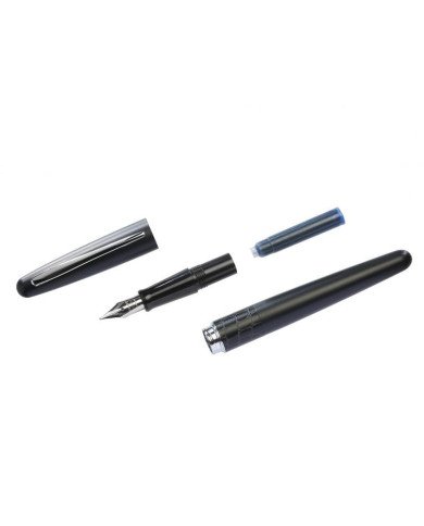 Stylo plume Pilot MR Crocodile avec étui en métal