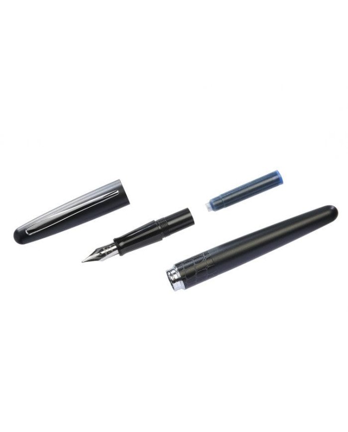 Stylo plume Pilot MR Crocodile avec étui en métal