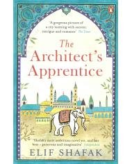 The Architect's Apprentice