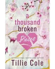 A Thousand Broken Pieces