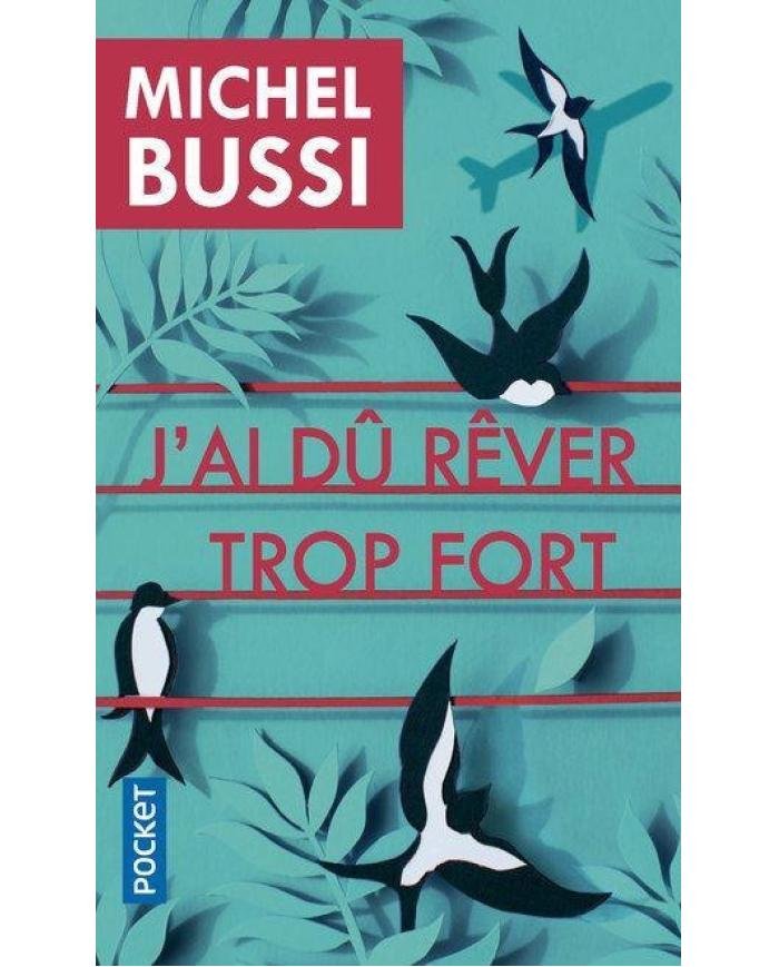 J'au dû rêver trop fort