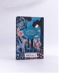 Northanger Abbey