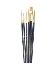 Set de pinceaux Princeton Real Value 9132 Gold Taklon – 6 pinceaux assortis
