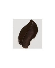 Le Libr'air - Peinture à l'huile Tube 20 ml Terre d'Ombre Brûlée 409 - Van Gogh - Tunisie