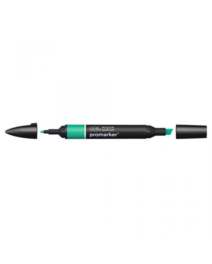 Le Libr'air - Feutre Promarker Vert G847 - Winsor&Newton - Tunisie Le Libr'air - Feutre Promarker Vert G847 - Winsor&Newton - Tunisie