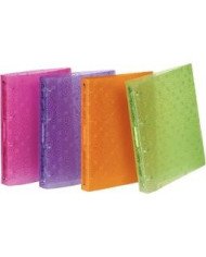 Classeur 4A en PolyPro Glass D35Mm - Viquel