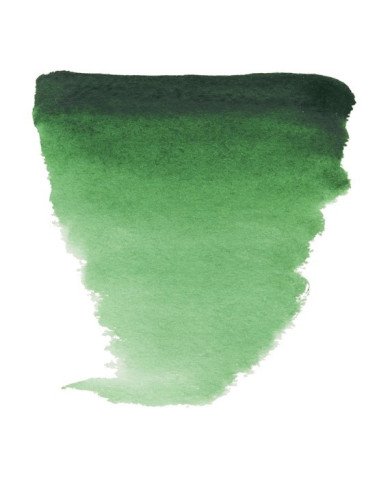 Peinture Aquarelle Fine Demi-Godet - 645 Vert Hooker Foncé
