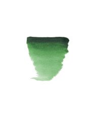Peinture Aquarelle Fine Demi-Godet - 645 Vert Hooker Foncé