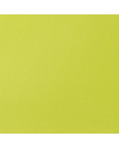 Liquitex Basics Acrylique Vert Jaune Brillant 118ML