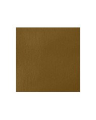 Liquitex Basics Acrylique Jaune Bronze 118ML