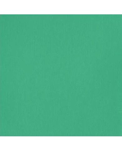 Liquitex Basics Acrylique Vert D'Eau Eclatant 118ML