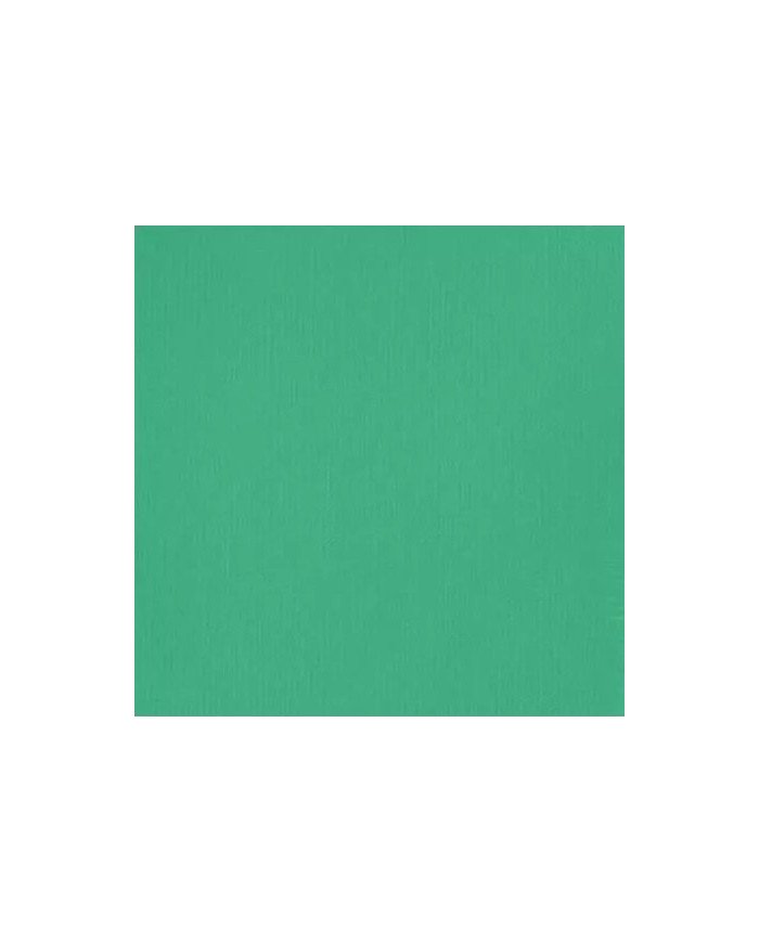 Liquitex Basics Acrylique Vert D'Eau Eclatant 118ML