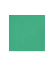 Liquitex Basics Acrylique Vert D'Eau Eclatant 118ML