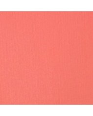 Liquitex Basics Acrylique Rose 118ML