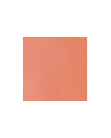 Liquitex Basics Acrylique Rose Clair 810 - 118ML