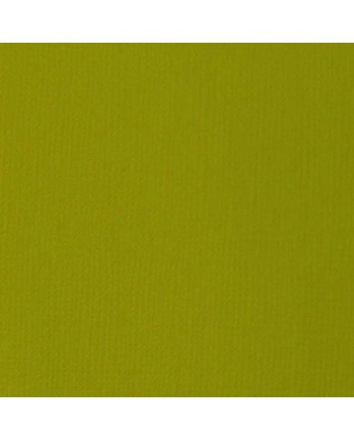 Liquitex Basics Acrylique Vert Olive Clair 118ML