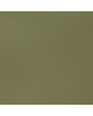 Liquitex Basics Acrylique Gris Vert 118ML Liquitex Basics Acrylique Gris Vert 118ML