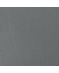 Liquitex Basics Acrylique Gris Bleu 118ML