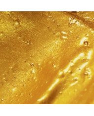 Peinture Acrylique Pébéo Studio - 100 ML - Or Riche 350