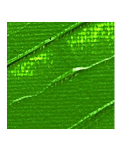 Peinture Acrylique Pébéo Studio - 100 ML - Terre Verte 61