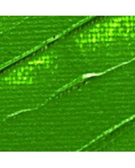 Peinture Acrylique Pébéo Studio - 100 ML - Terre Verte 61