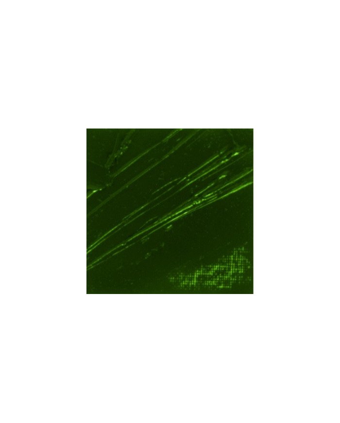 Huile Fine XL Studio 37ML Terre Verte 44 PEBEO