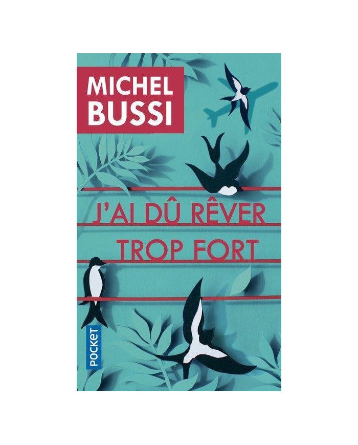 J'au dû rêver trop fort