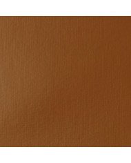 Liquitex Basics Acrylique Terre De Sienne Naturelle 118ML