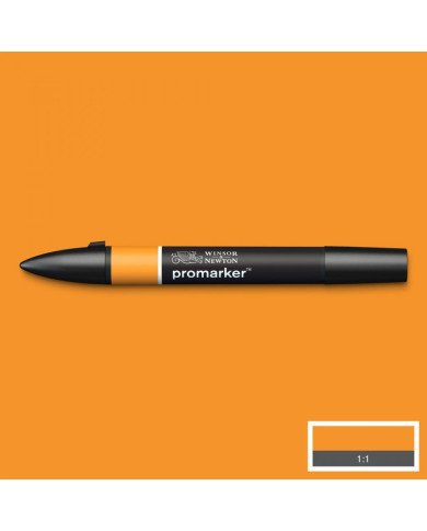 Le Libr'air - Feutre Promarker Ambre O567 - Winsor&Newton - Tunisie Le Libr'air - Feutre Promarker Ambre O567 - Winsor&Newton - Tunisie