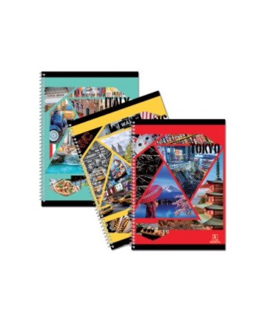 Cahier TP Spirale 21*29,7 -96P- Seyes Selecta Cahier TP Spirale 21*29,7 -96P- Seyes Selecta
