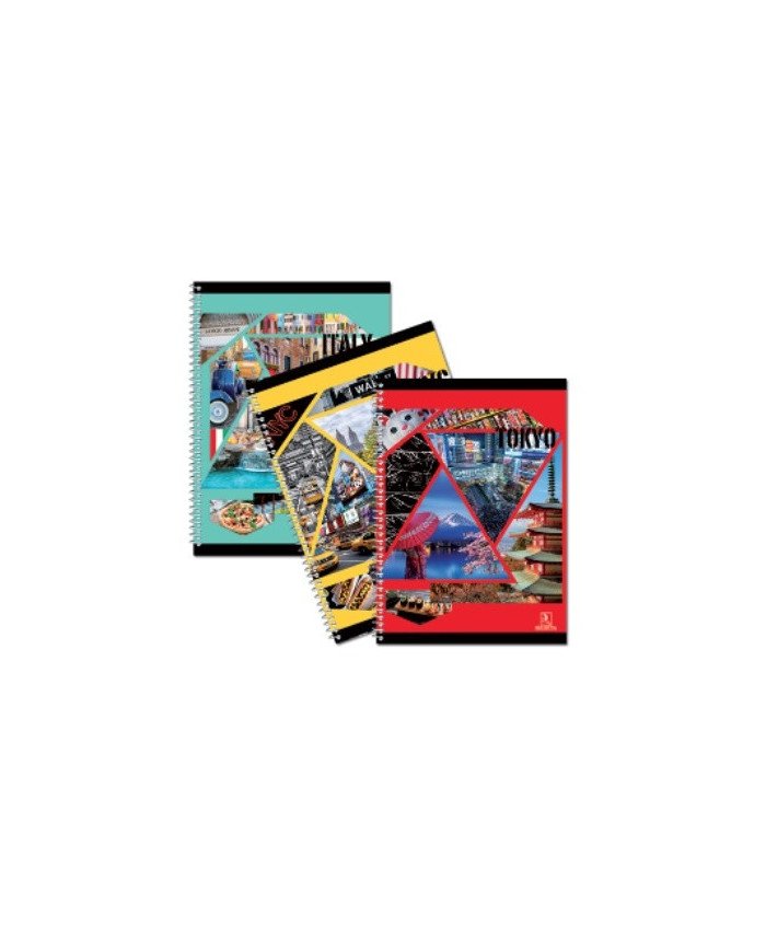 Cahier TP Spirale 21*29,7 -96P- Seyes Selecta