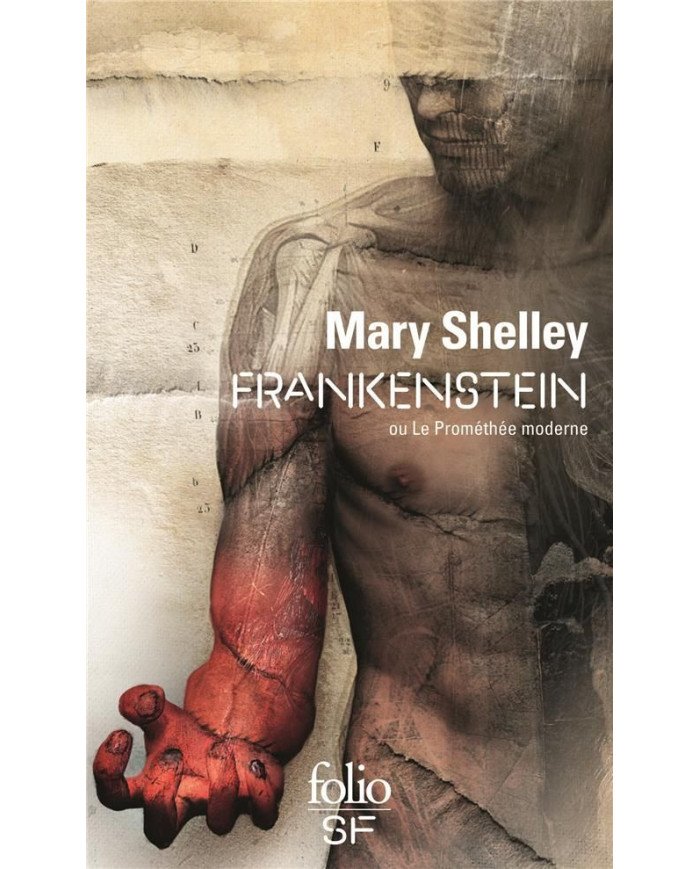Frankenstein ou le prométhée moderne