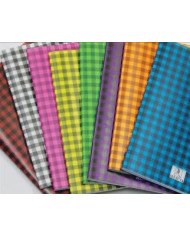 Brochure 17*22 PP -200P - 60G - Seyes A Carreaux Couleurs Assorties Selecta