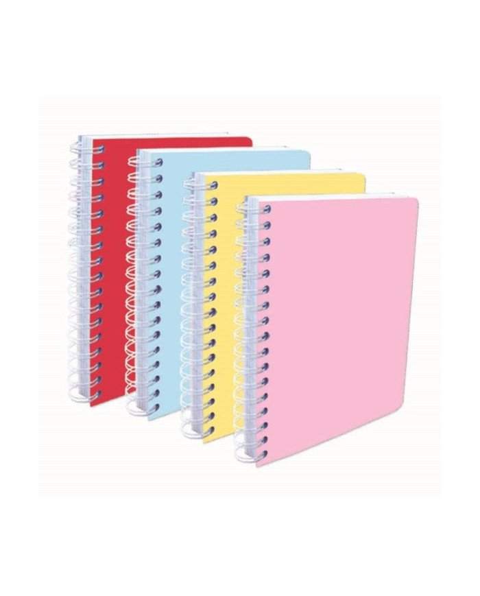 Wireo 17*22 - 200P -80G- Pastel Selecta