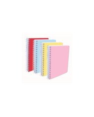 Wireo 17*22 - 200P -80G- Pastel Selecta