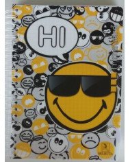 Wireo A4 - 3 Matières 400P Selecta