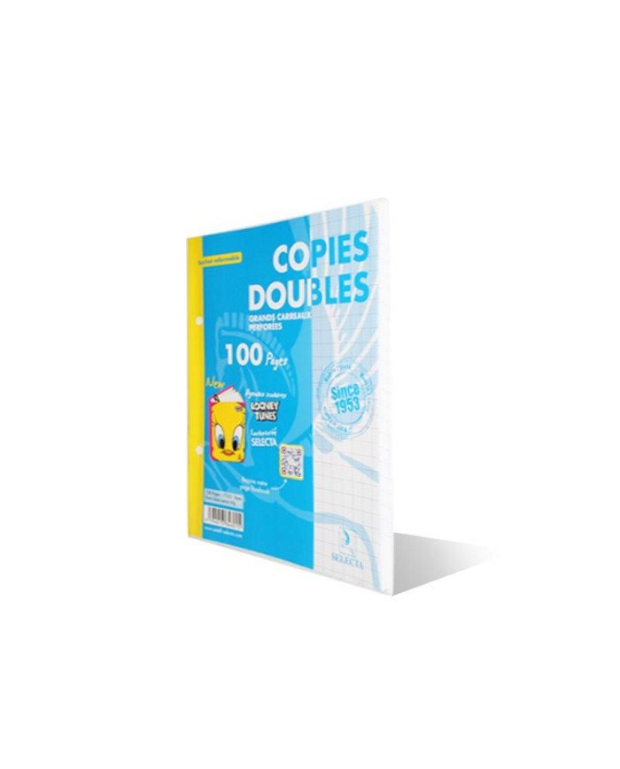 Copies Doubles 17*22 - 100P Perforées Selecta