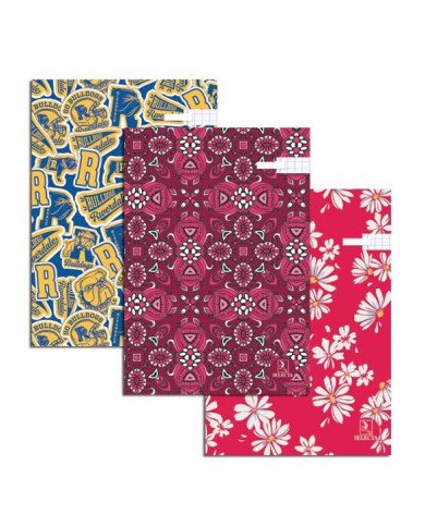 Registre 21x29.7 Seyes Fantaisie 288P - Selecta Registre 21x29.7 Seyes Fantaisie 288P - Selecta
